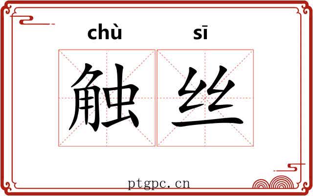 触丝 触丝