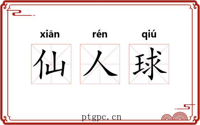 仙人球 仙人球