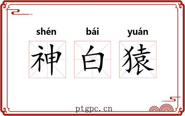 神白猿 神白猿