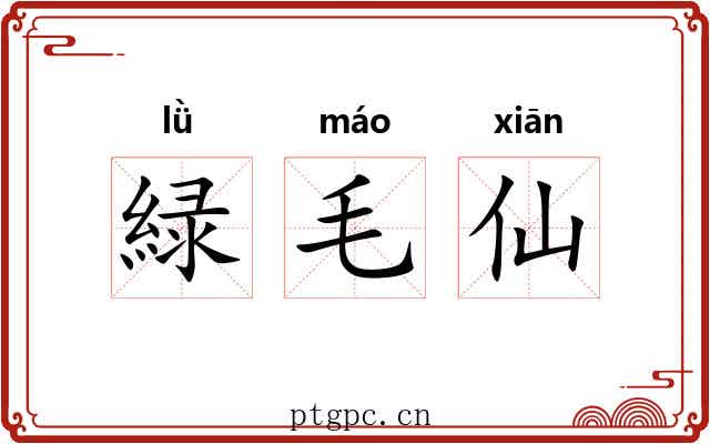 緑毛仙 緑毛仙