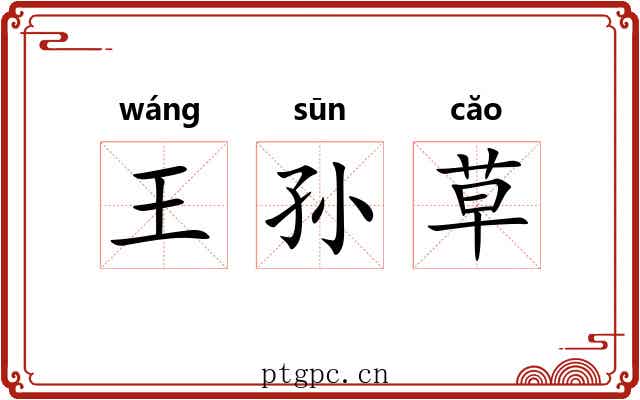 王孙草 王孙草