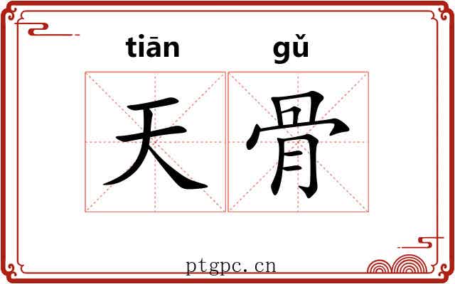 天骨 天骨