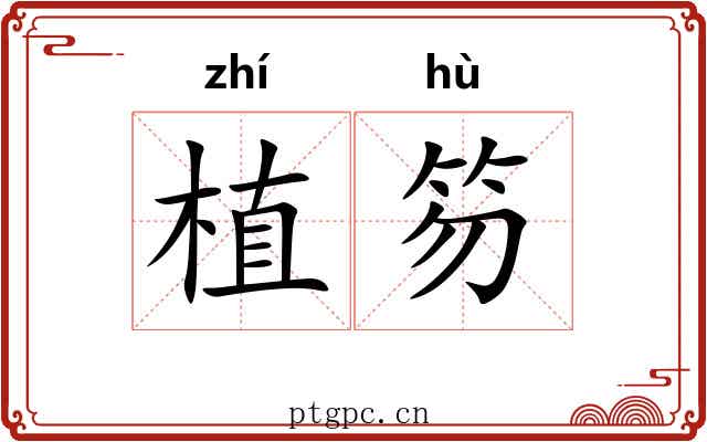 植笏