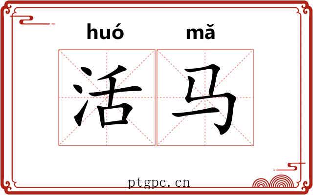 活马