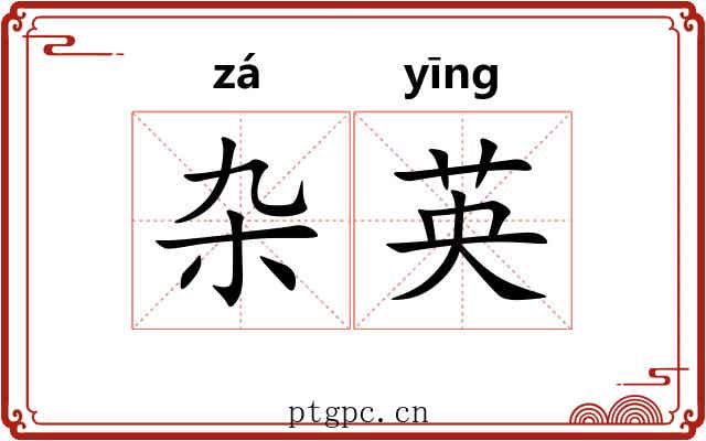 杂英