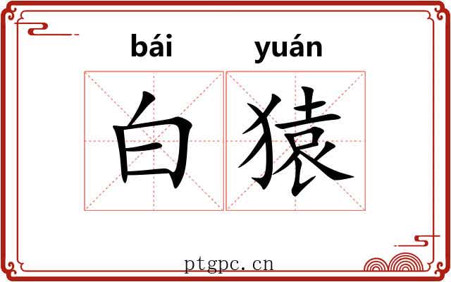 白猿 白猿