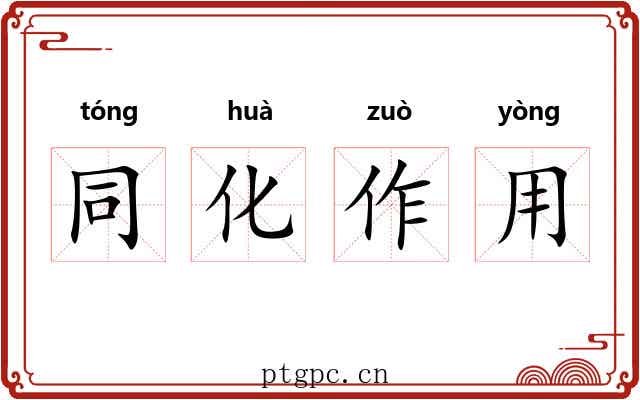同化作用 同化作用