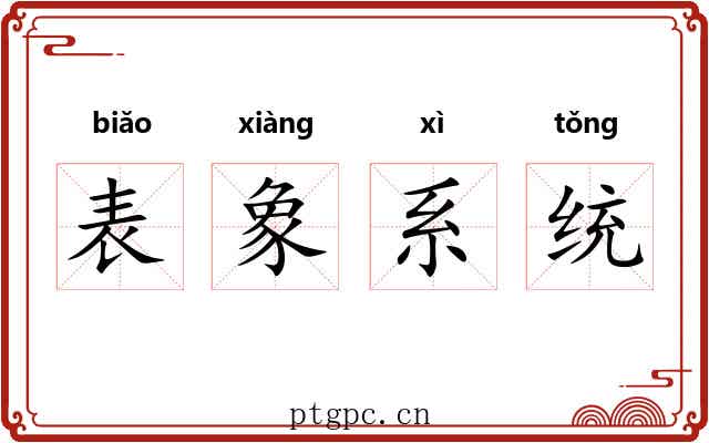 表象系统 表象系统