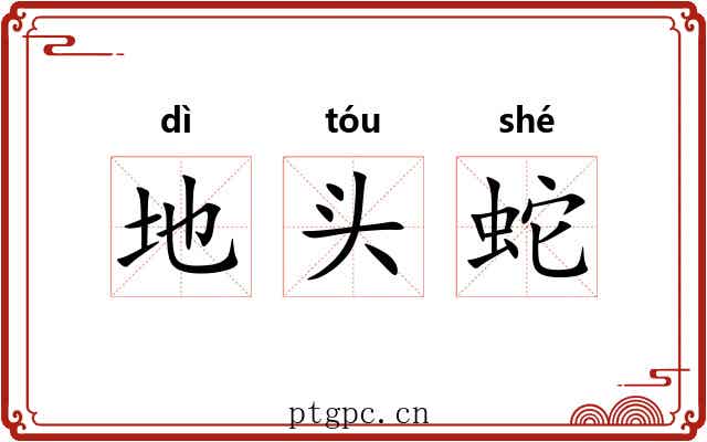 地头蛇 地头蛇
