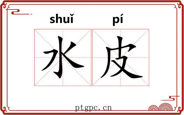 水皮 水皮