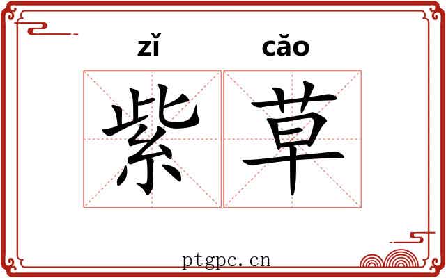 紫草 紫草