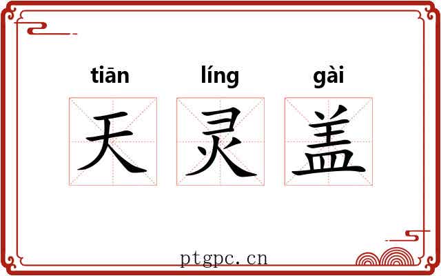 天灵盖