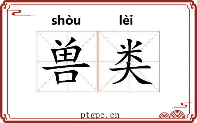 兽类