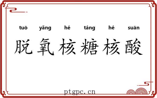 脱氧核糖核酸 脱氧核糖核酸