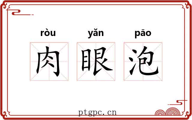 肉眼泡