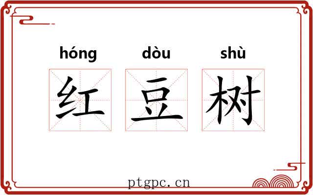 红豆树 红豆树