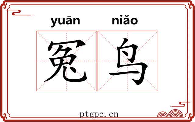 冤鸟