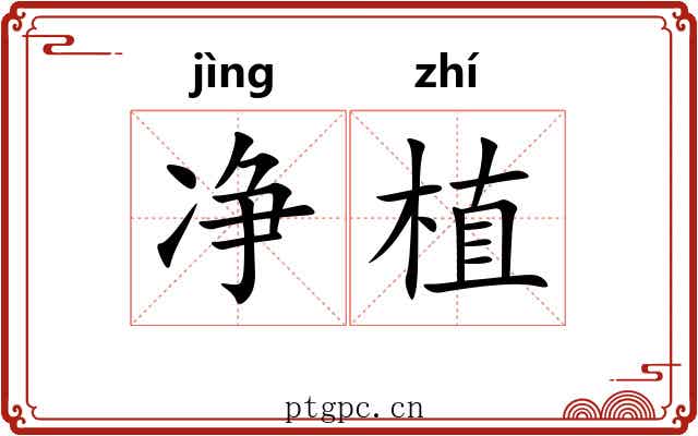 净植 净植