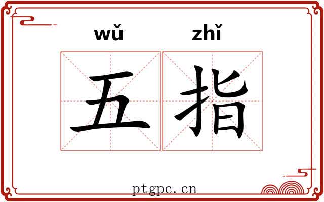 五指 五指