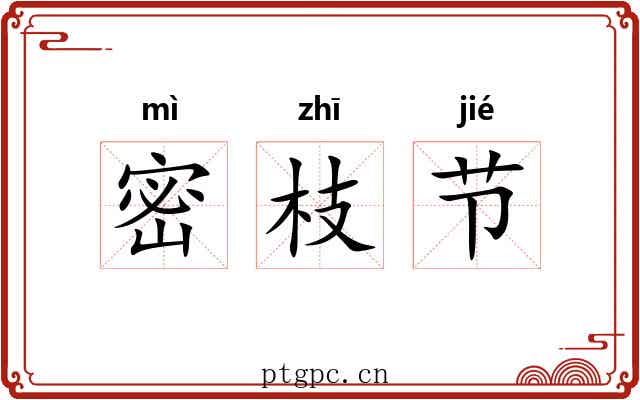 密枝节 密枝节