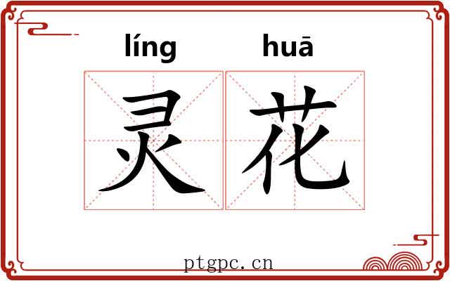 灵花 灵花