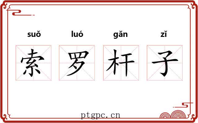 索罗杆子