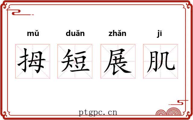 拇短展肌 拇短展肌