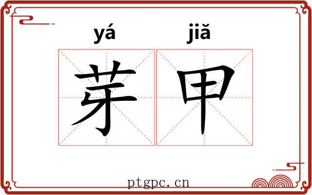 芽甲 芽甲