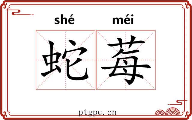 蛇莓 蛇莓