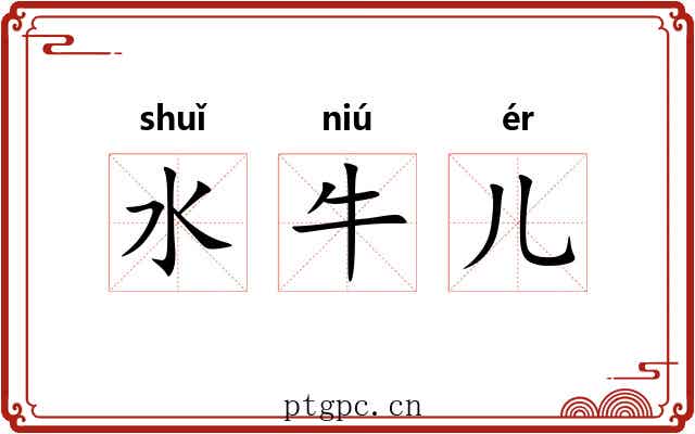 水牛儿 水牛儿