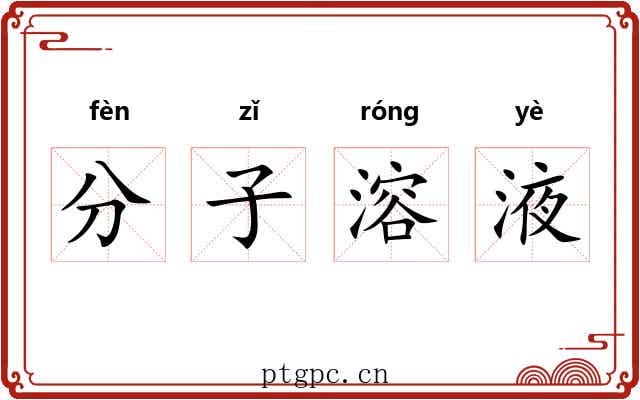 分子溶液 分子溶液