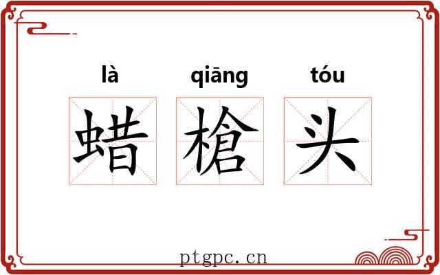 蜡槍头 蜡槍头
