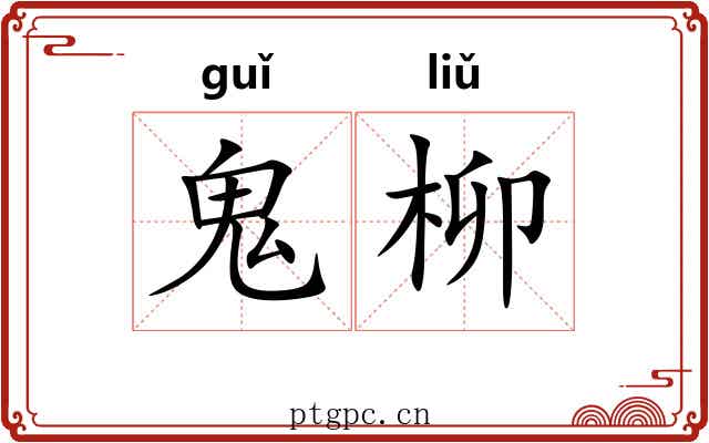 鬼柳 鬼柳