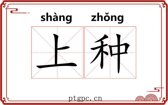 上种
