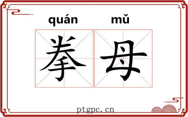 拳母