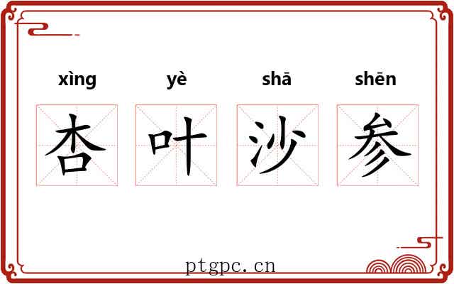 杏叶沙参