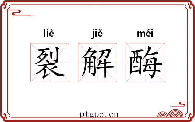 裂解酶 裂解酶