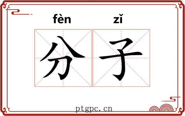 分子