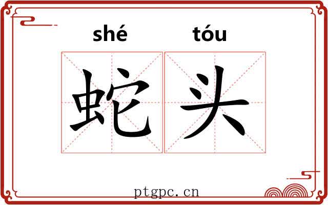 蛇头 蛇头