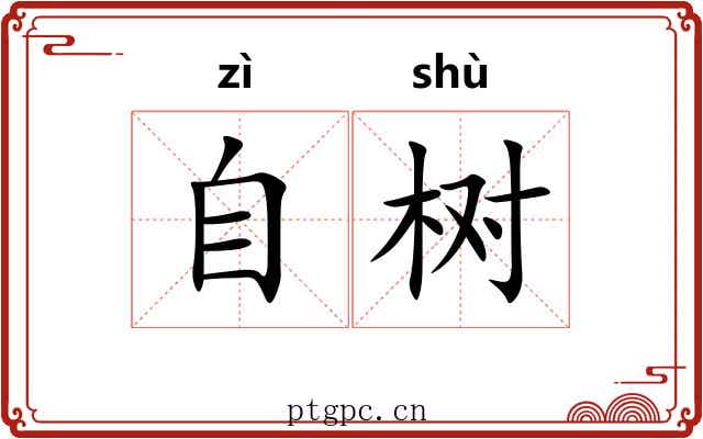 自树