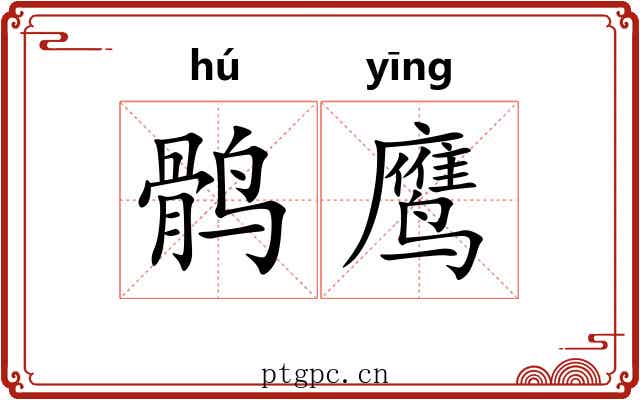 鹘鹰