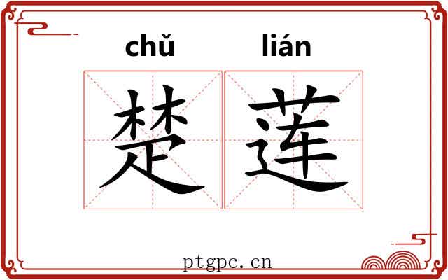 楚莲 楚莲