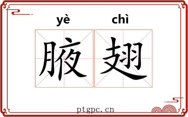 腋翅