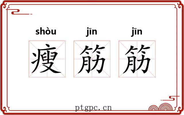 瘦筋筋