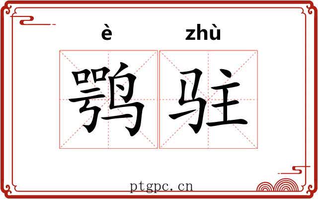 鹗驻