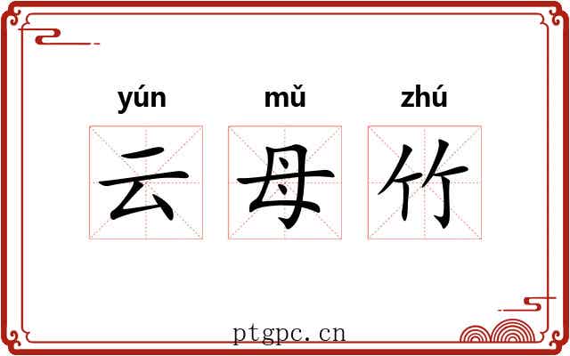 云母竹 云母竹
