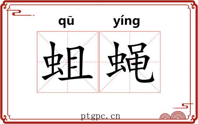 蛆蝇