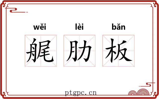 艉肋板