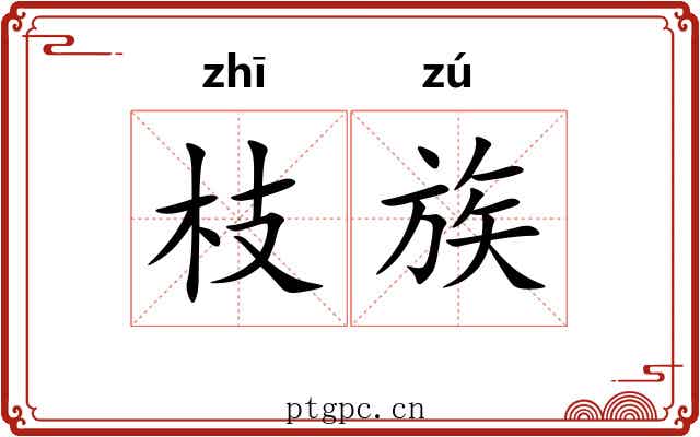 枝族 枝族