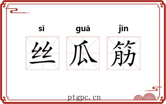 丝瓜筋